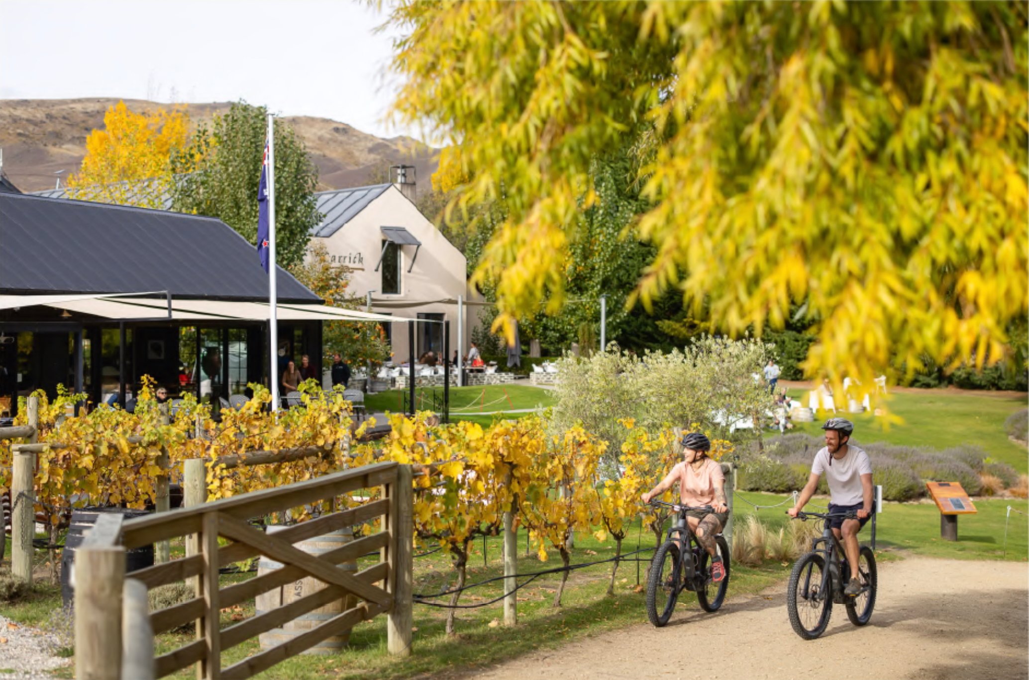 Ride and Wine 2-image