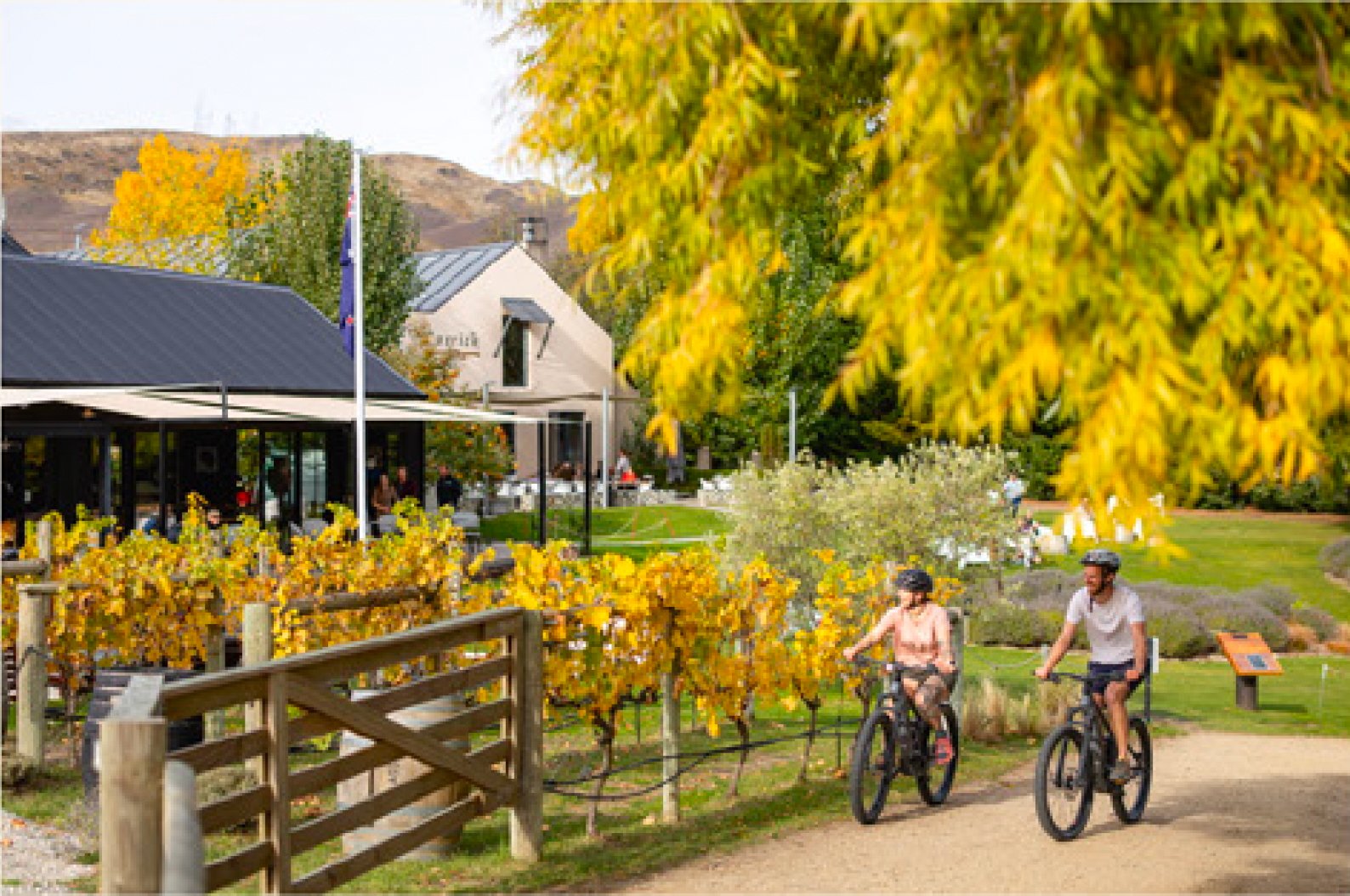 Ride and Wine-image