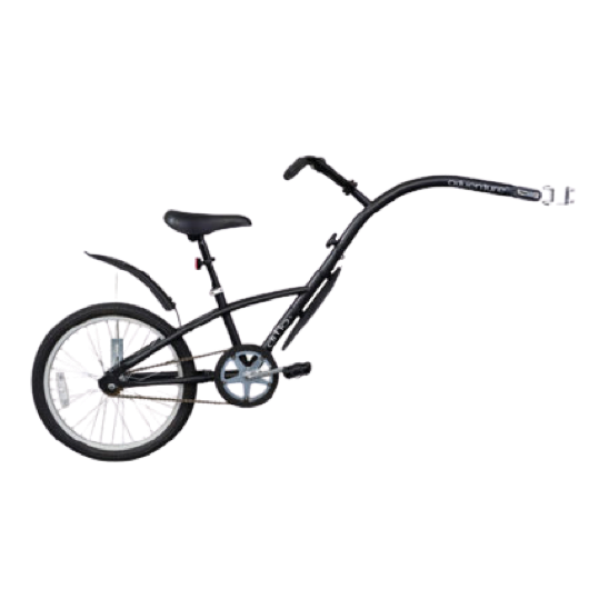 bike-accesory-tag-along-image